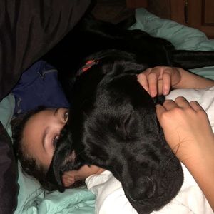 Meet your Posher, Kira